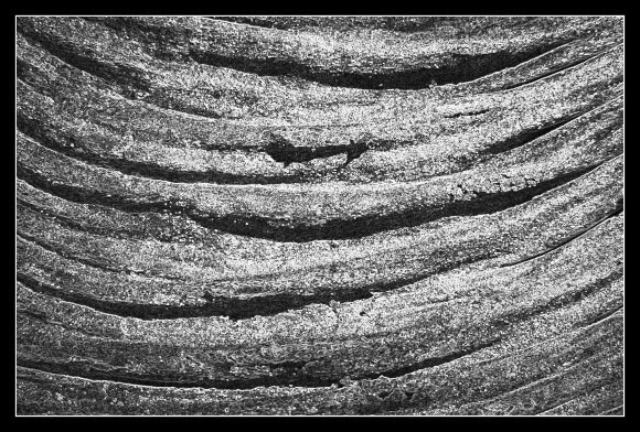 Vzpomínka na Martina Martinčeka, Olympus SP-500, čas 1/1000 s, clona 3.50, ISO 100, ohnisková vzdálenost 10.90