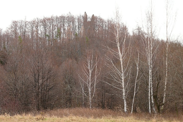 Hrad Kaltenštejn 1, Panasonic DMC-FZ50, čas 1/30 s, clona 5.60, ISO 100, ohn. vzdálenost 11.20