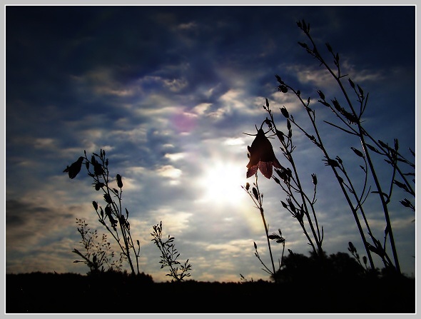 Východ slunce u pensionu Pod jasanem, Olympus SP-500, čas 1/1000 s, clona 8.00, ISO 80, ohn. vzdálenost 6.30, polarizační filtr Hama