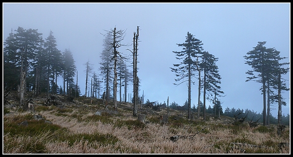 Mlha přede mnou, mlha za mnou, Panasonic DMC-FZ50, čas 1/13 s, clona 11.00, ISO 100, ohn. vzdálenost 7.40, čas 13:00 Mlha přede mnou, mlha za mnou, Panasonic DMC-FZ50, čas 1/13 s, clona 11.00, ISO 100, ohn. vzdálenost 7.40, čas 13:00
