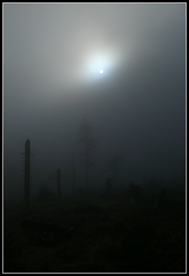 Mlha přede mnou, mlha za mnou, Panasonic DMC-FZ50, čas 1/640 s, clona 7.10, ISO 100, ohn. vzdálenost 8.70, čas 13:07 Mlha přede mnou, mlha za mnou, Panasonic DMC-FZ50, čas 1/640 s, clona 7.10, ISO 100, ohn. vzdálenost 8.70, čas 13:07
