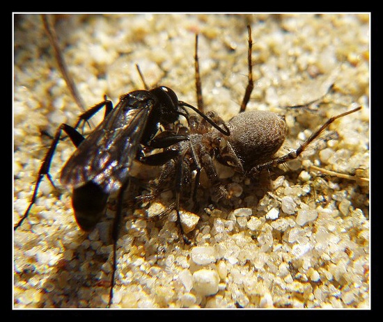 Slíďák 5, ISO 100, čas 1/640, clona 5, ohn. vzdálenost 32,3
