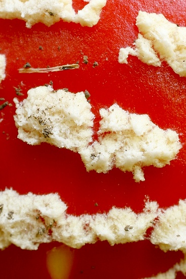 Amanita muscaria (muchomůrka červená)